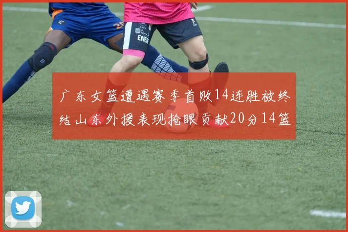 广东女篮遭遇赛季首败14连胜被终结山东外援表现抢眼贡献20分14篮板5助攻