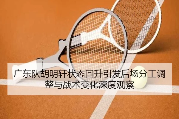 广东队胡明轩状态回升引发后场分工调整与战术变化深度观察（fhsports）